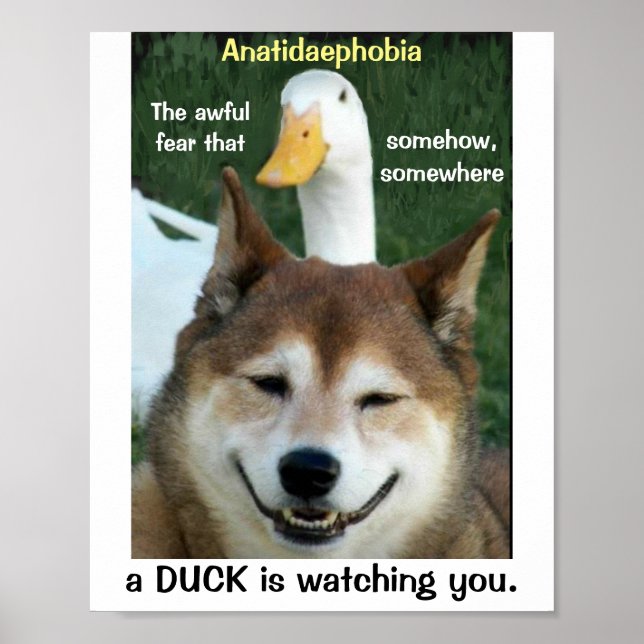 Anka Shiba Inu Hund Anatidaephobia Photo Funny Dog Poster (Framsidan)