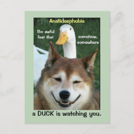 Anka Shiba Inu Hund Anatidaephobia Photo Funny Dog Vykort
