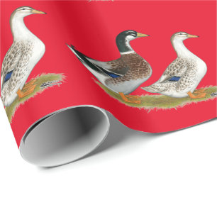 Anka: Silver Appleyard Presentpapper