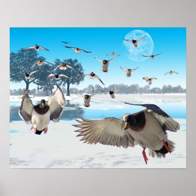 Anka Sjö Poster (Framsidan)