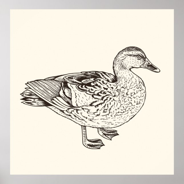 Anka Sketch Poster (Framsidan)