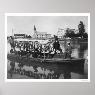 Anka som jagar det Alaska fotoet 1912 Poster