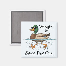 Anka som wingar det magnet