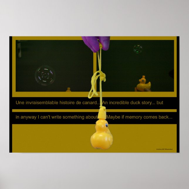 Anka Story eller Poster av en invecklad histoire (Framsidan)