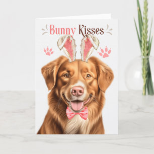 Anka Tolling Retriever Hund Bunny Öron för Påsk Helgkort