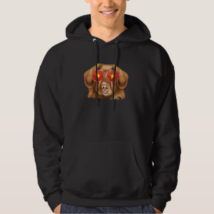 Anka Tolling Retrievers Hund Vietnam Sunglass Hoodie