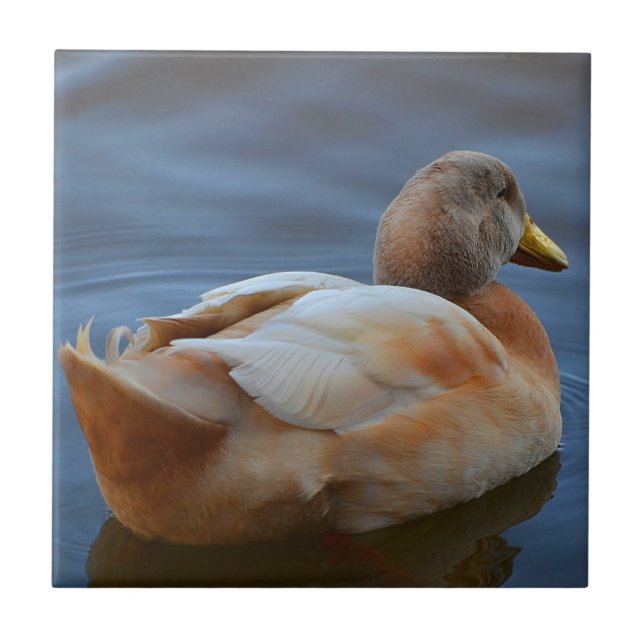 Anka Trivet Kakelplatta (Framsidan)