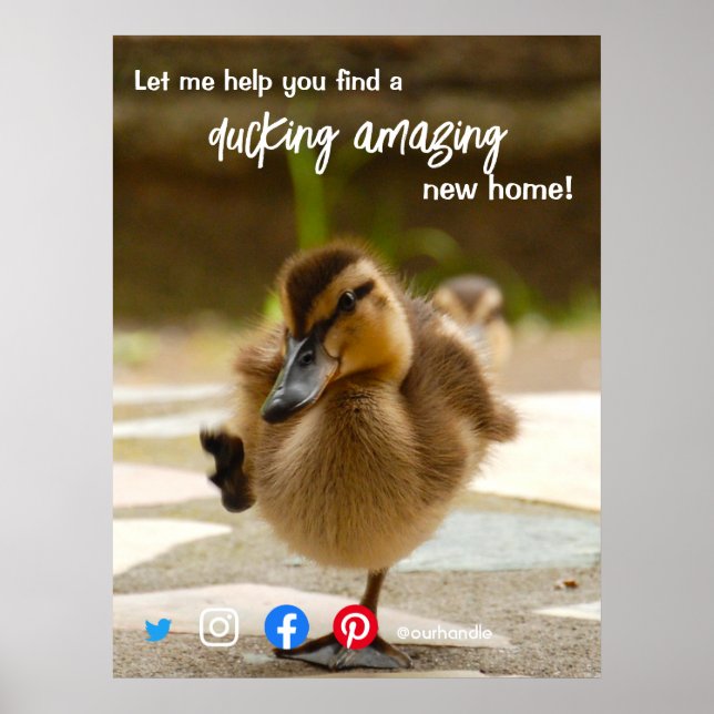 anka underbara fantastisk vid gods agent marknadsf poster (Framsidan)