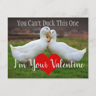 Anka Valentine kan inte Vykort