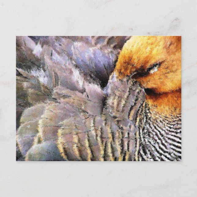 ANKA VYKORT (Framsida)