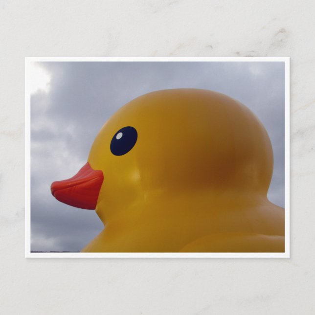 anka vykort (Framsida)