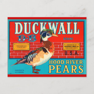 Anka Wall Huva River Pears Vintage Annons Vykort