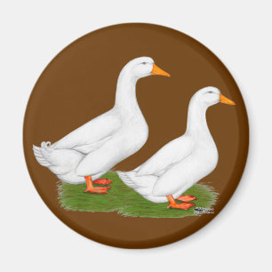 Anka: White Pekins Magnet