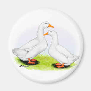 Anka: White Pekins Magnet