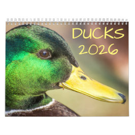 Anka Wildlife Photography Kalender