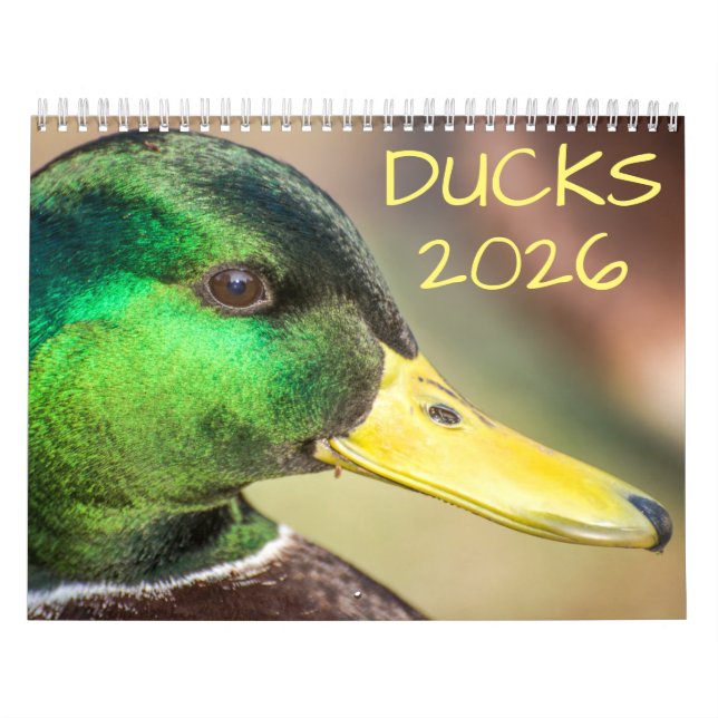 Anka Wildlife Photography Kalender (Omslag)