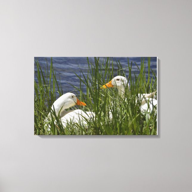 Anka Wrapped Canvas (Framsida)