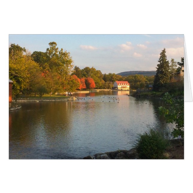 Ankadamm med mal i nedgång hälsningskort (Framsidan Horizontal)