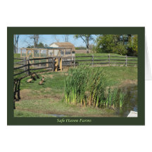 Ankadamm på säkra tillflyktsortlantgårdar