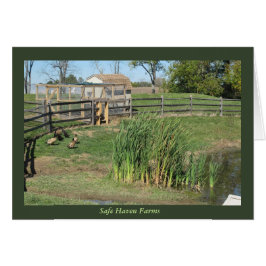 Ankadamm på säkra tillflyktsortlantgårdar hälsningskort
