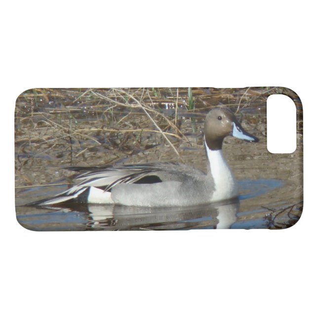 Ankadrake för Pintail B5 Case-Mate iPhone Skal (Baksida (horisontal))
