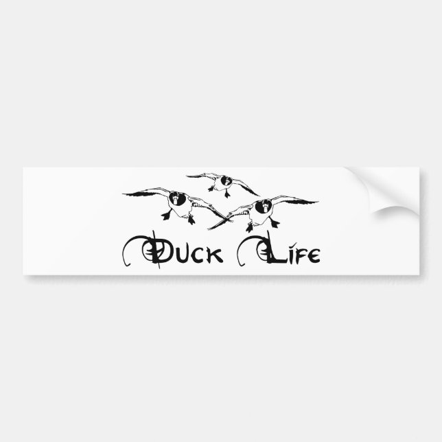 ANKAJAKT BILDEKAL (Framsidan)