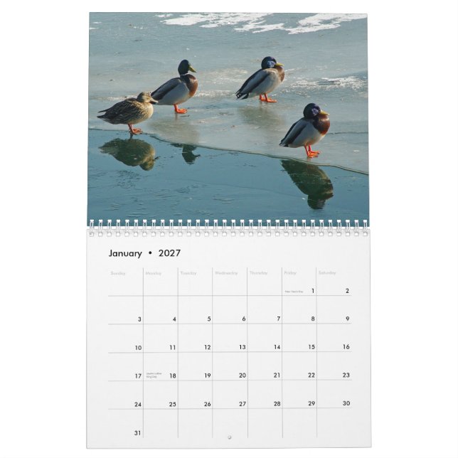 Ankakalender Kalender (Jan 2027)