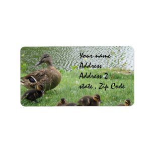 Ankamamma och ducklings adressetikett