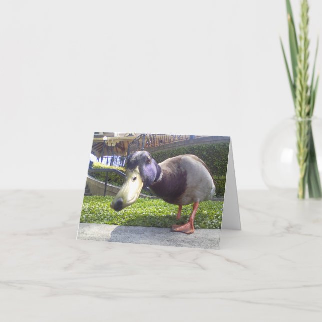 "Ankamöte ", Kort (Framsida)