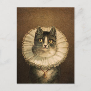 Änkan (1861–1897), vintage kattporträtt vykort