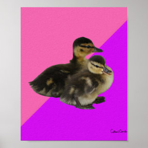 Ankaningar på Rosa Hallon och Lila Sorbet Poster