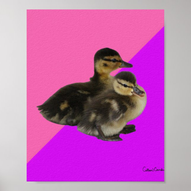 Ankaningar på Rosa Hallon och Lila Sorbet Poster (Framsidan)