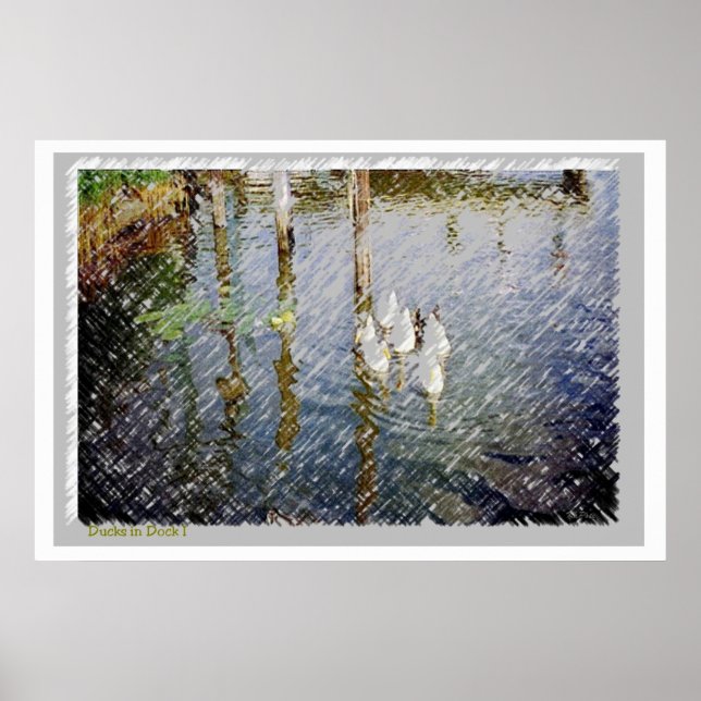 Ankans vattenfärgsutskrift poster (Framsidan)