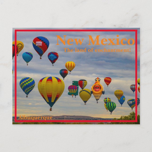 Ankantens mark vykort (Framsida)