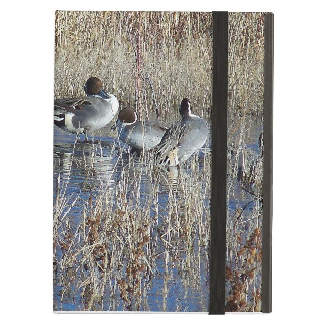 AnkaPowis iCase iPad Air Skydd (Framsidan Closed)