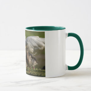 Ankaregel Mugg