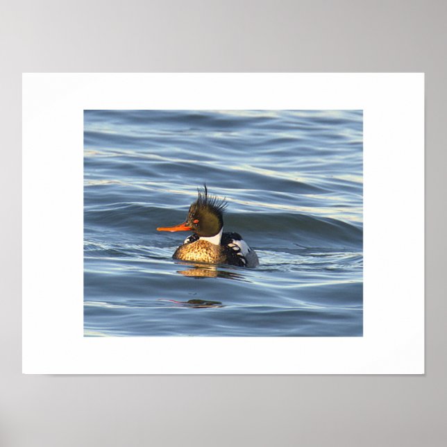 Ankfotoaffisch  poster (Framsidan)