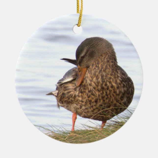 Ankfotoornament Julgransprydnad Keramik (Framsidan)