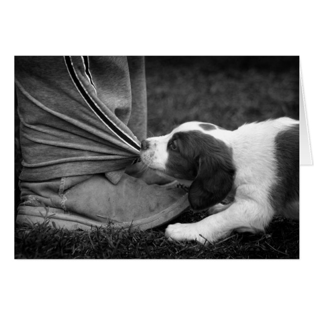 Ankle Biter Hälsningskort (Framsidan Horizontal)