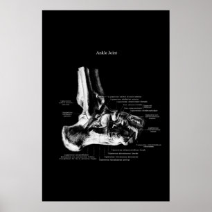 Ankle Joint Anatomy Orthopedic Decor Poster