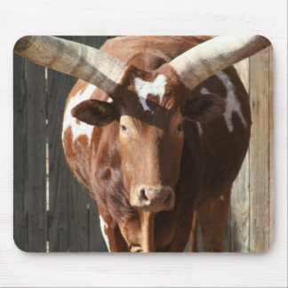 Ankole-Watusi råd med enorma Horns Mousepad Musmatta