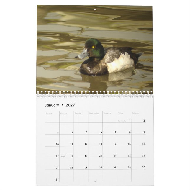 Ankor av Nordamerika 2010 Kalender (Jan 2027)