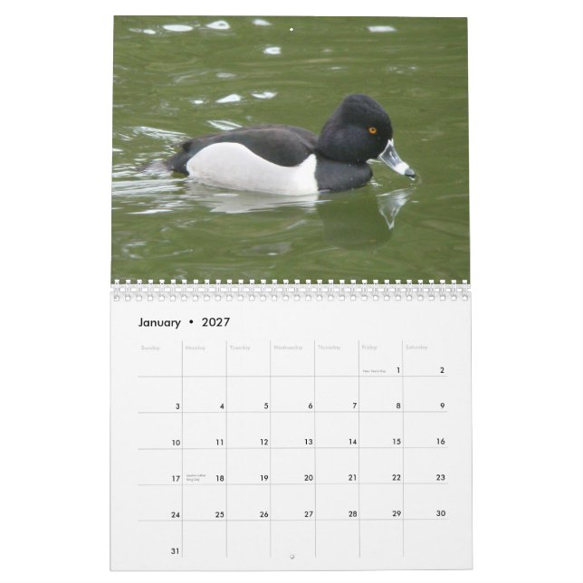 Ankor av Nordamerika, 2011 Kalender (Jan 2027)