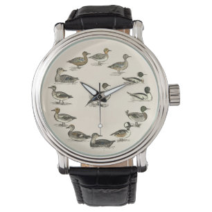 Ankor av Nordamerika illustrationer Armbandsur