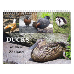 Ankor av nyazeeländskt kalender