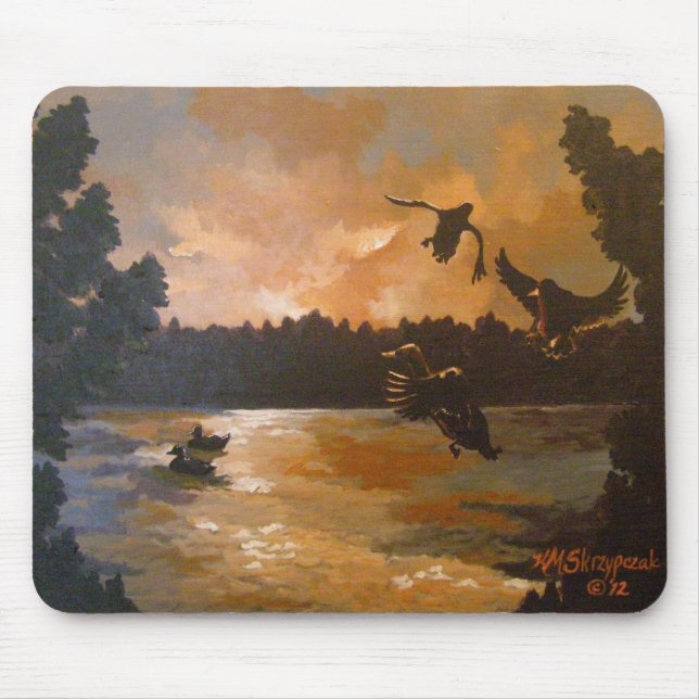 Ankor bosätter sig i musmatta (Framsidan)