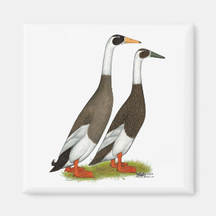 Ankor: Emery ritade springer Magnet