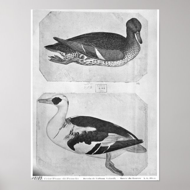 Ankor, från Vallardi Album Poster (Framsidan)
