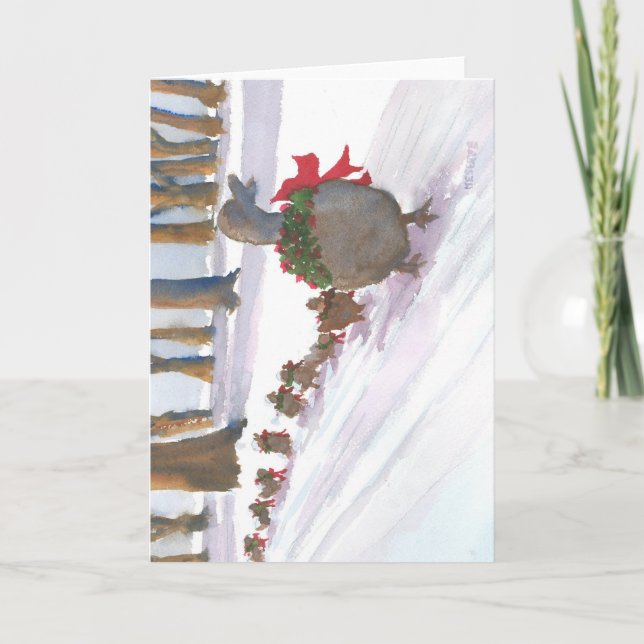 ankor i boston under vintern semestrar vanligt helgkort (Framsida)