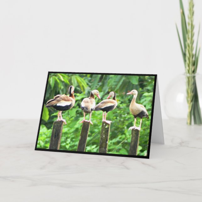 Ankor i ett radmatat gratulationskort tack kort (Framsida)